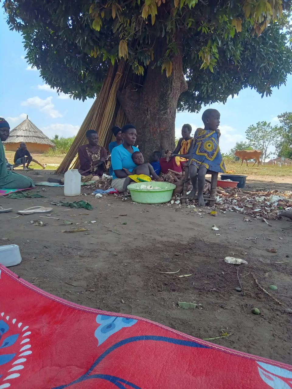 Women and children preparing cassava under a tree in a rural Ugandan village
